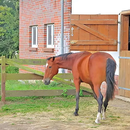 Apartment Ferienwohnung Hohen Wangelin