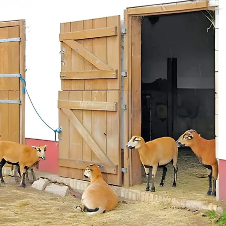 Ferienwohnung Hohen Wangelin * Hohen Wangelin